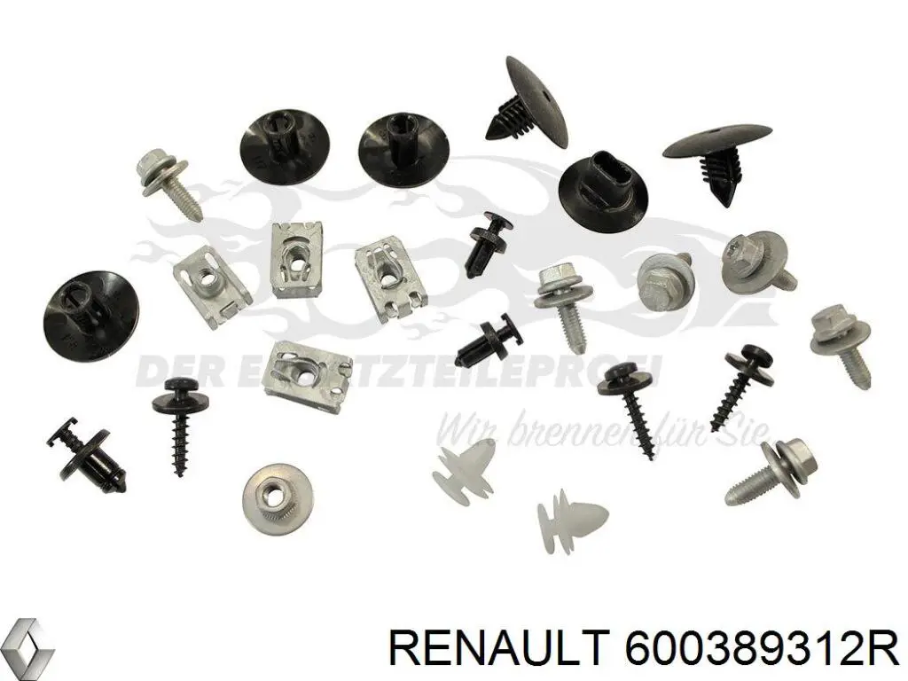 600389312R Renault (RVI)