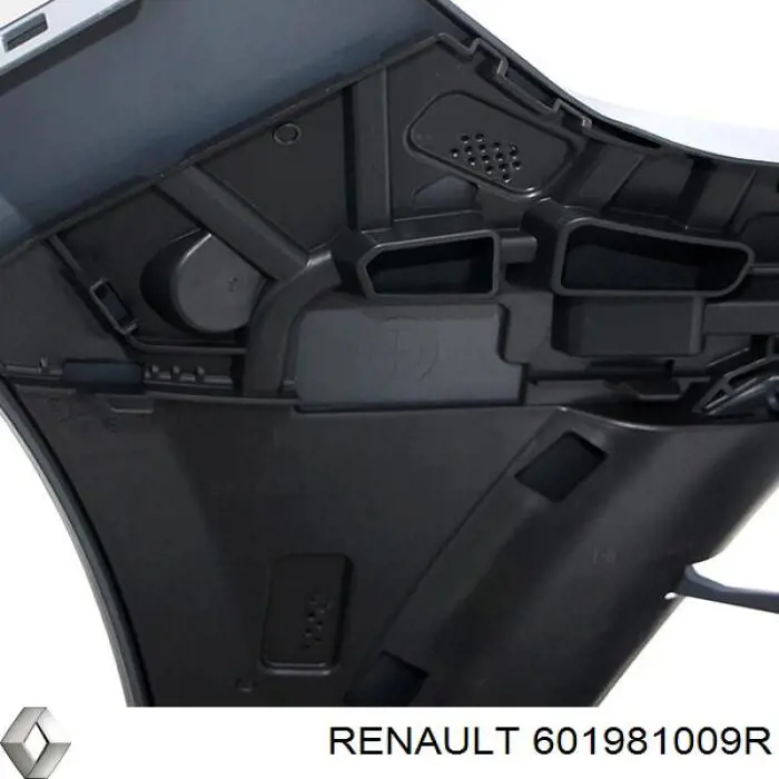 601981009R Renault (RVI)