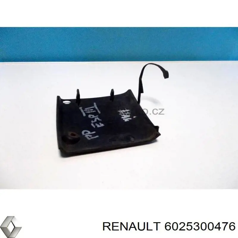 6025300476 Renault (RVI)