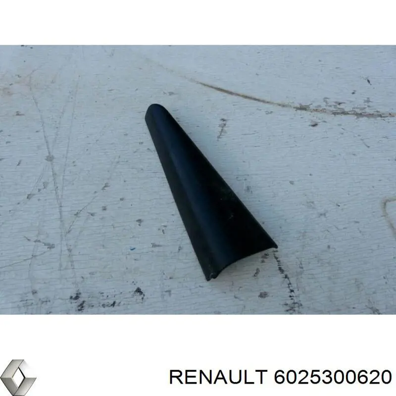 6025300620 Renault (RVI)