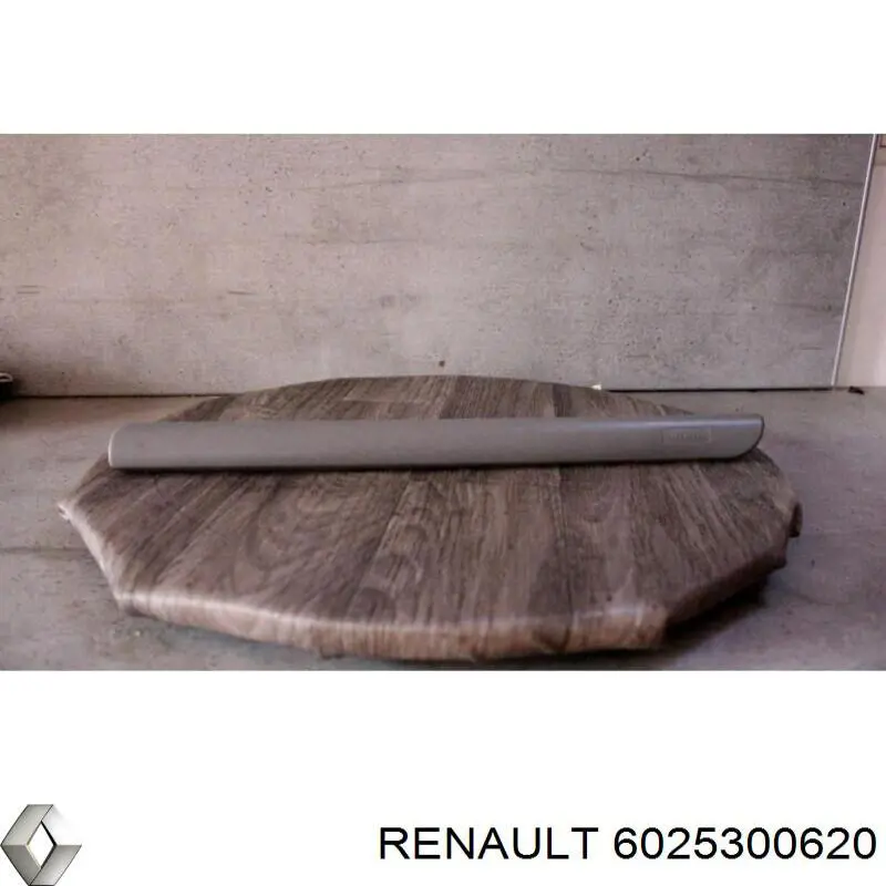  Renault (RVI) 6025300620 precio, desde  
