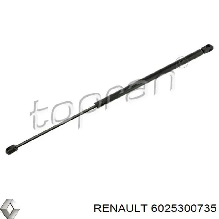 6025300735 Renault (RVI) Amortiguador de porton