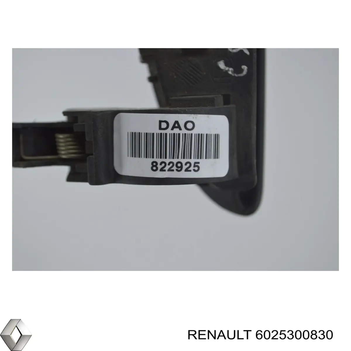 6025300830 Renault (RVI) tirador de puerta exterior delantero derecha