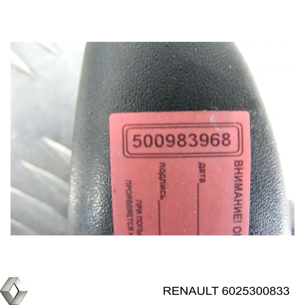 6025300833 Renault (RVI) tirador de puerta exterior trasero izquierdo