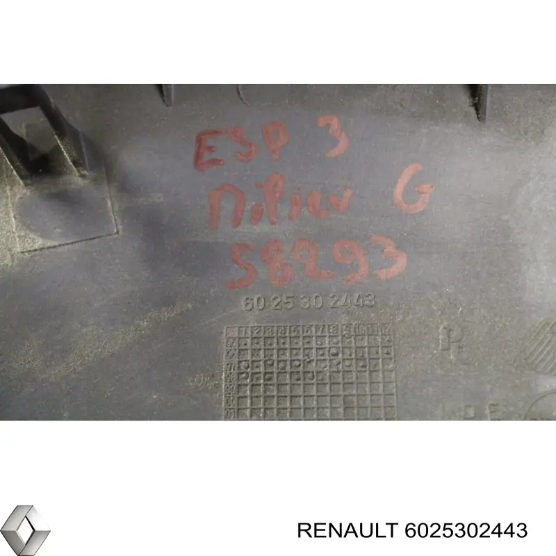 6025302443 Renault (RVI)