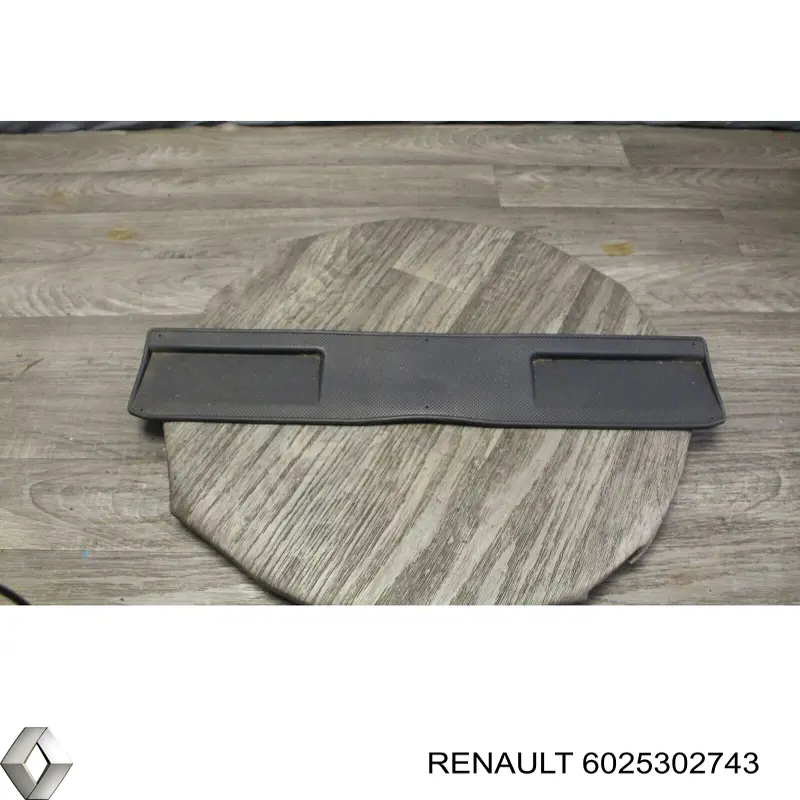 6025302743 Renault (RVI) 