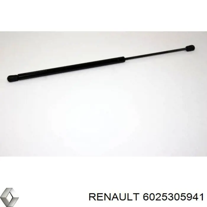Amortiguador de maletero Renault (RVI) 6025305941 precio, desde 25,12 EUR