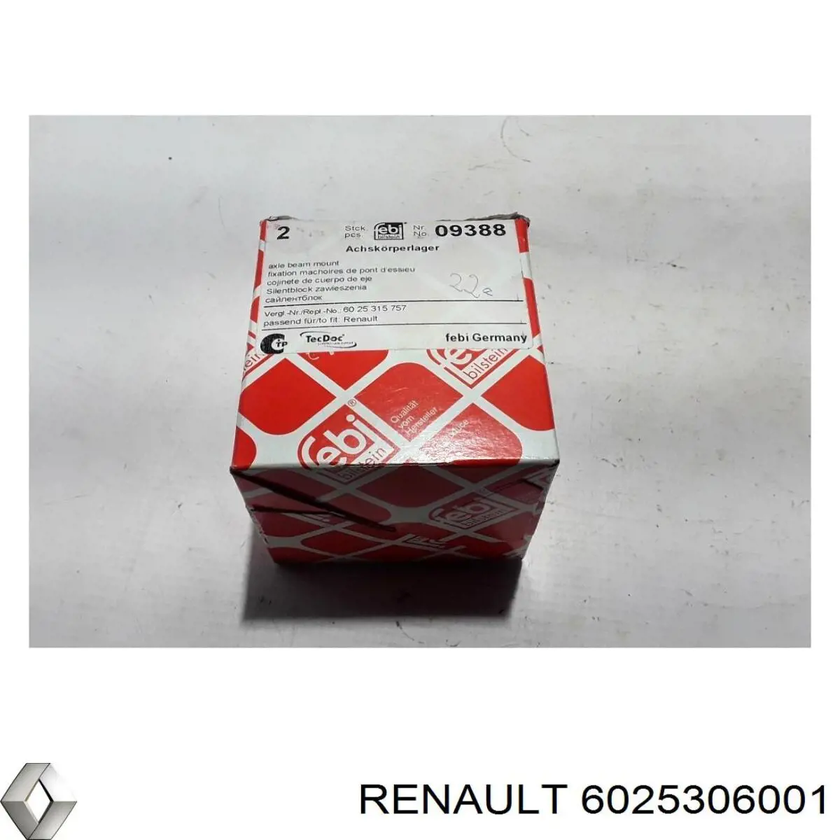 6025306001 Renault (RVI) suspensión, cuerpo del eje trasero