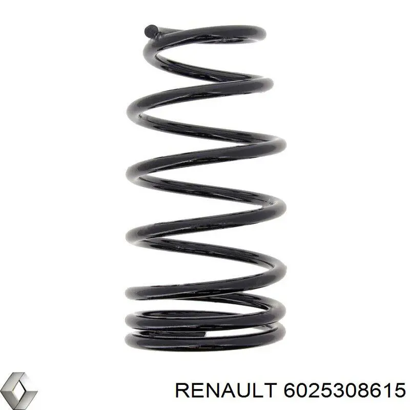 6025308615 Renault (RVI) Muelle trasero