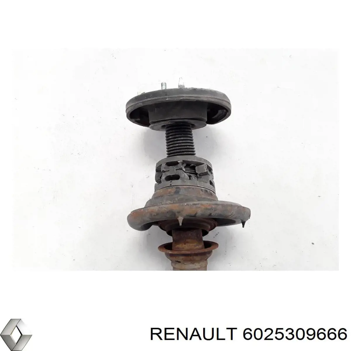 6025309666 Renault (RVI) amortiguador delantero