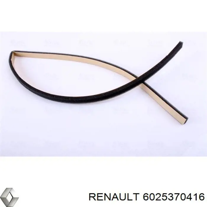 6025370416 Renault (RVI)