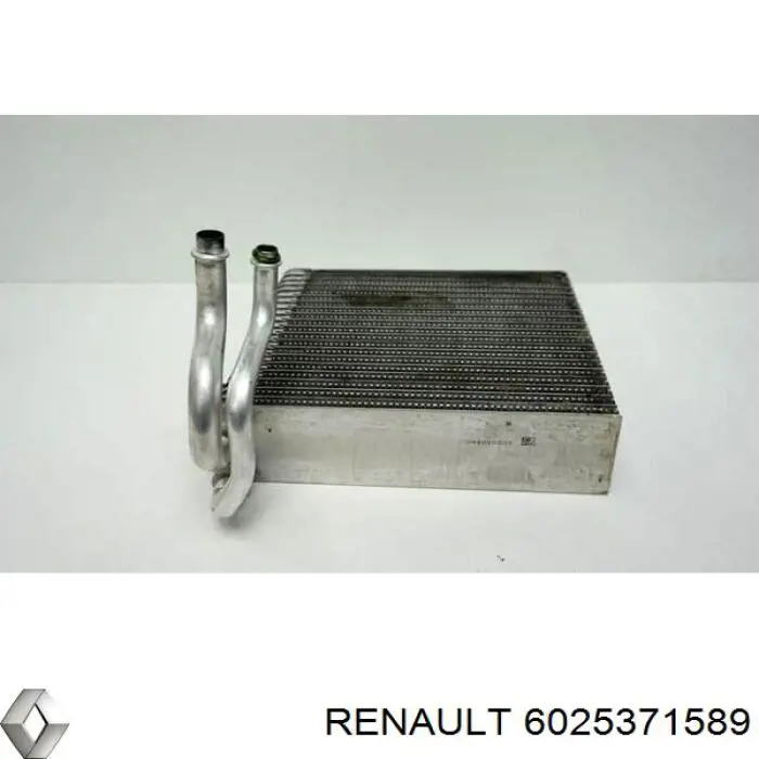 6025371589 Renault (RVI)