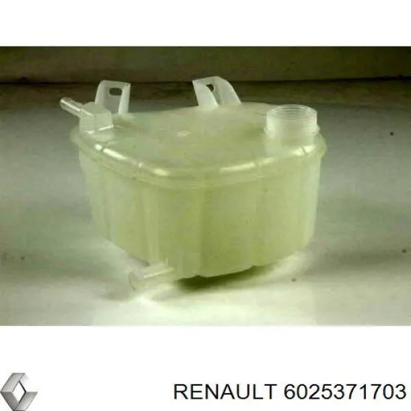 Comprar 6025371703 Renault (RVI) Deposito expansion
