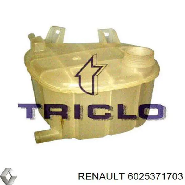 6025371703 Renault (RVI) vaso de expansión, refrigerante