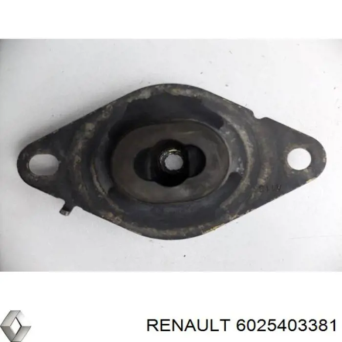 6025403381 Renault (RVI)