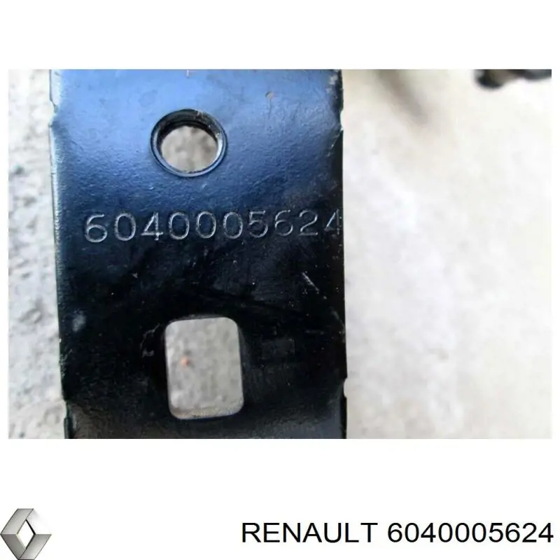 6040005624 Renault (RVI)