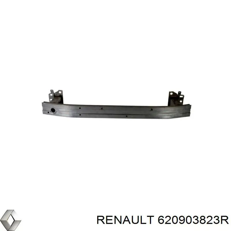 620903823R Renault (RVI)