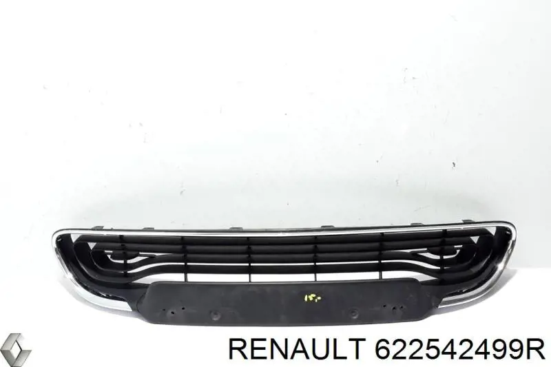 622542499R Renault (RVI)