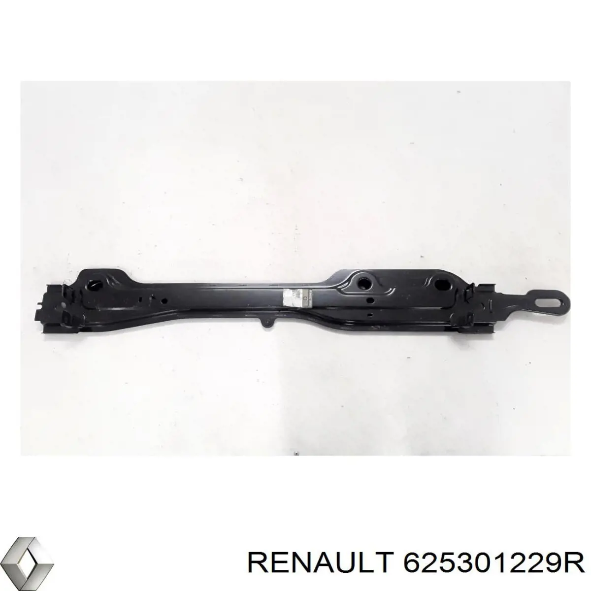 625301229R Renault (RVI)