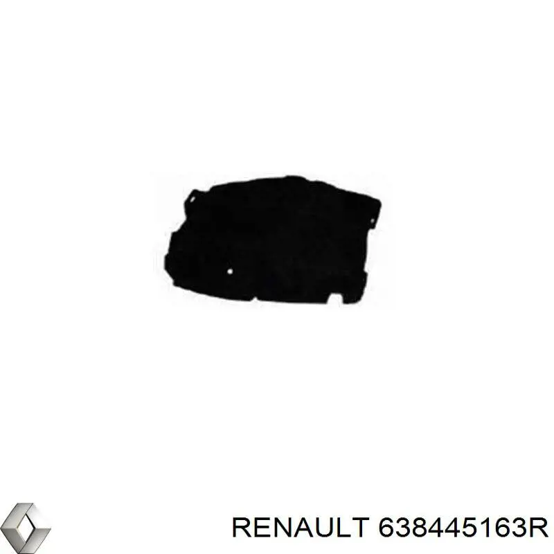 638445163R Renault (RVI)