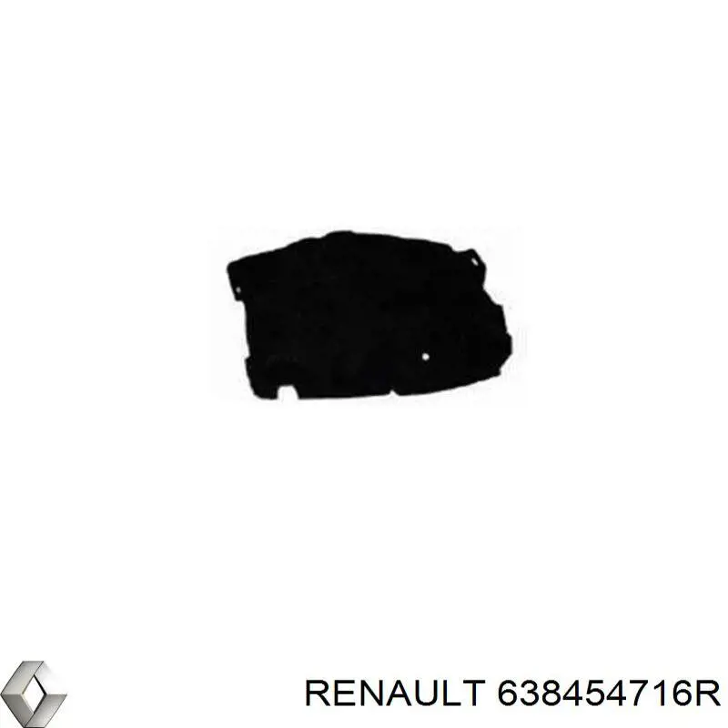 638454716R Renault (RVI) Guardalodos delantero izquierdo