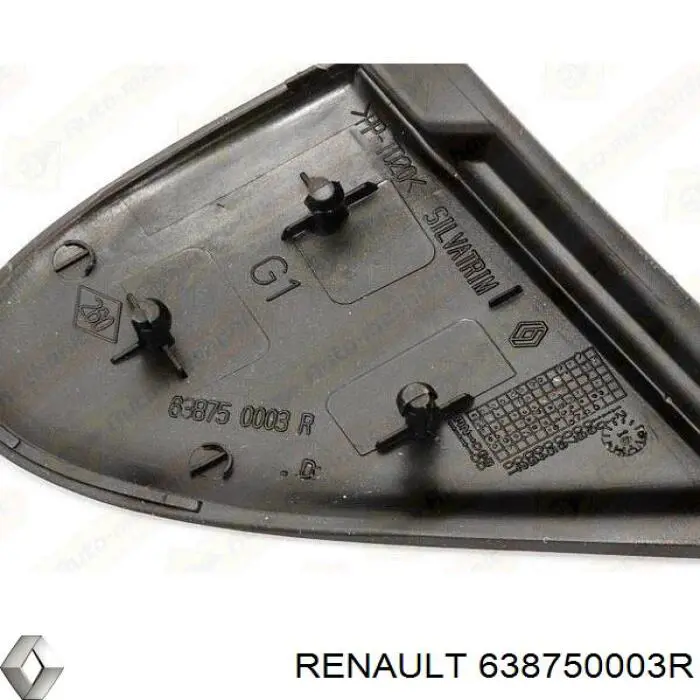 Moldura del guardabarros delantero izquierdo Renault (RVI) 638750003R precio, desde 23,28 EUR