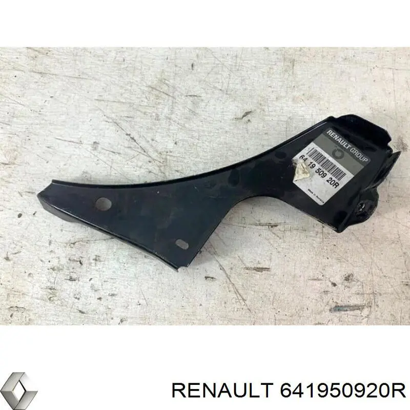 641950920R Renault (RVI)