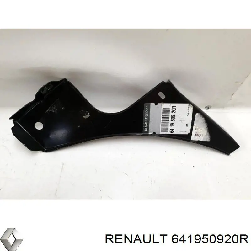  Renault (RVI) 641950920R precio, desde 86,48 EUR