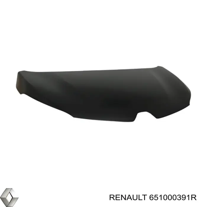 Capó del motor Renault (RVI) 651000391R precio, desde 380,42 EUR