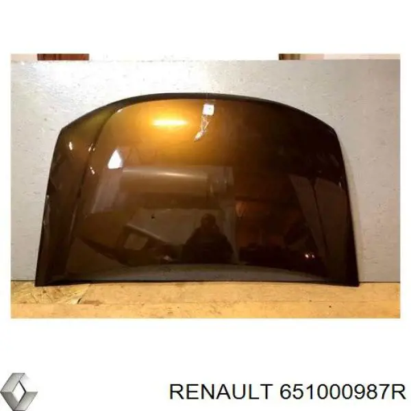 Capó del motor Renault (RVI) 651000987R precio, desde 255,57 EUR
