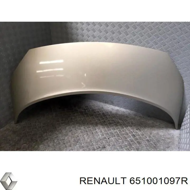 Capó del motor Renault (RVI) 651001097R precio, desde 119,06 EUR