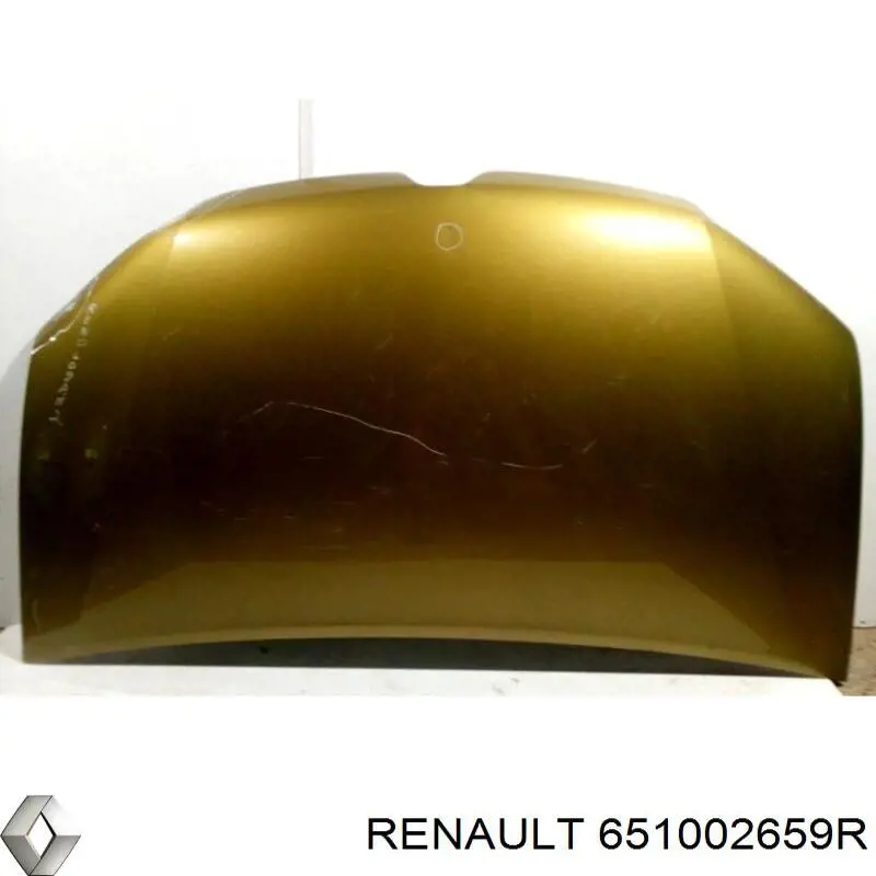 Capó del motor Renault (RVI) 651002659R precio, desde 168,65 EUR