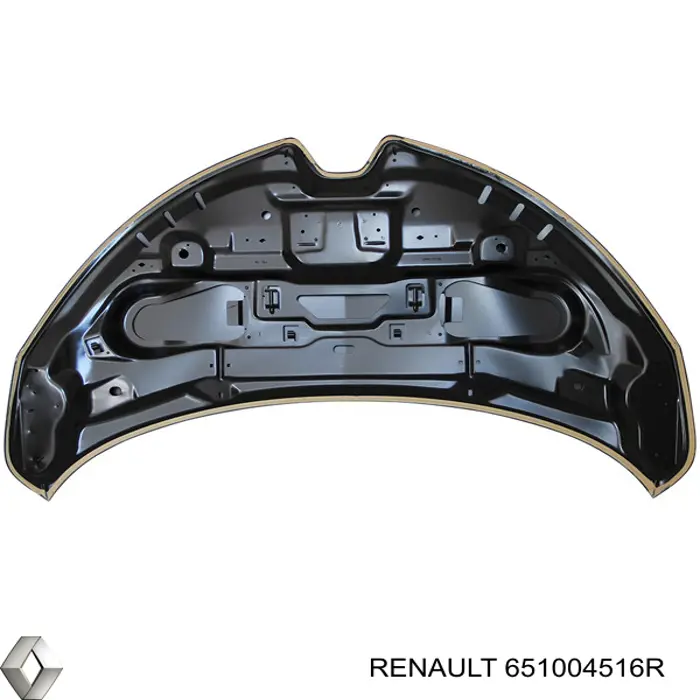 651004516R Renault (RVI)