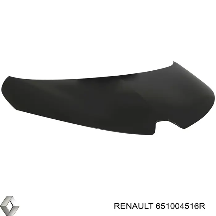 Capó del motor Renault (RVI) 651004516R precio, desde 309,03 EUR