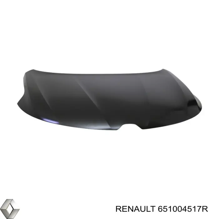 Capó del motor Renault (RVI) 651004517R precio, desde 771,53 EUR