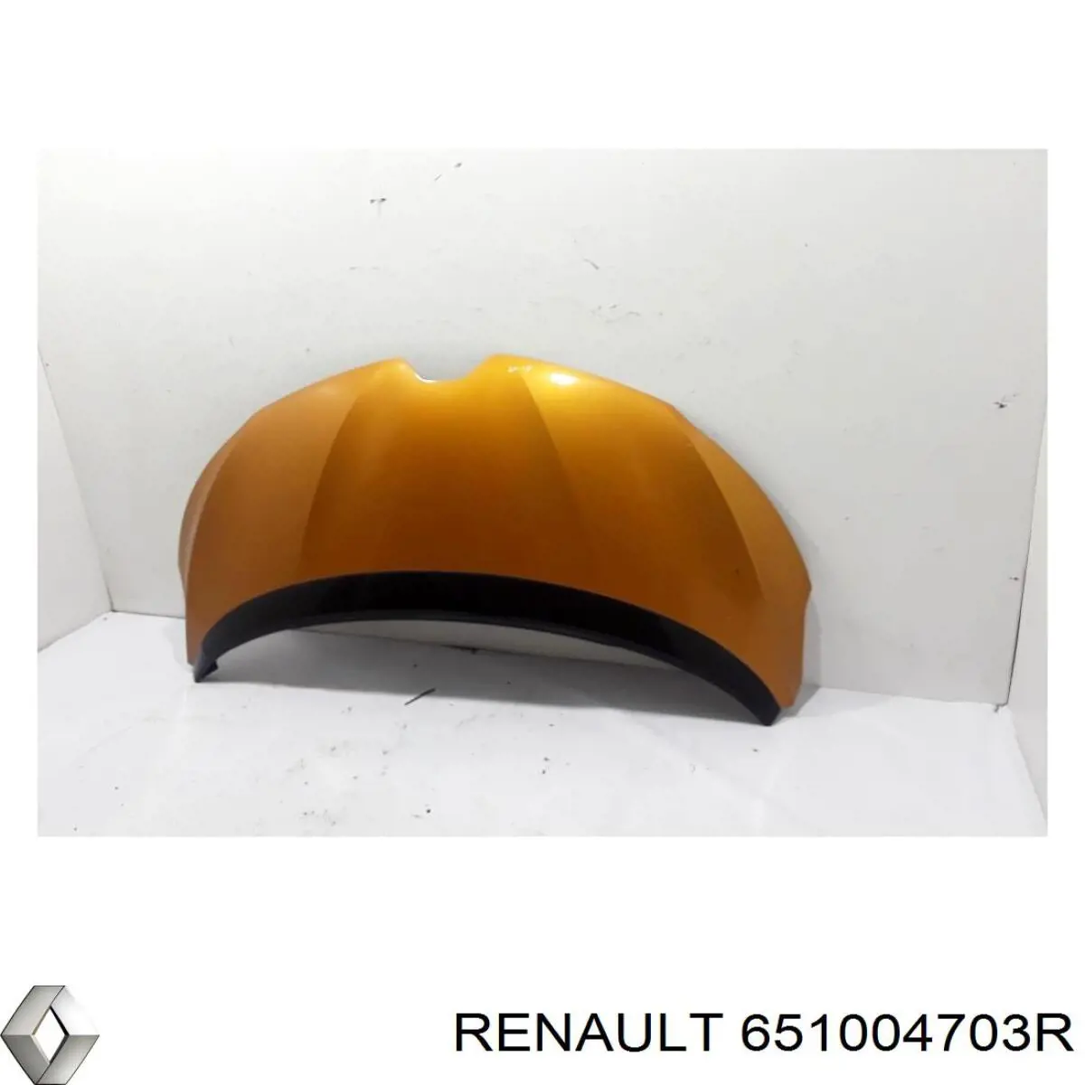 Capó del motor Renault (RVI) 651004703R precio, desde 421,02 EUR