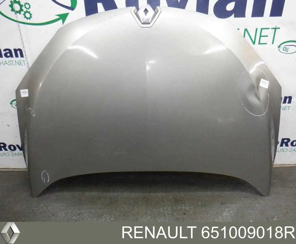 Capó del motor Renault (RVI) 651009018R precio, desde 205,91 EUR