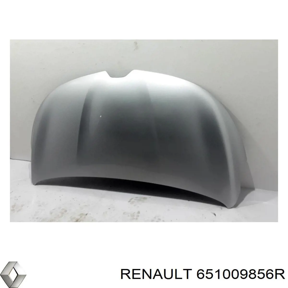 Comprar 651009856R Renault (RVI) 