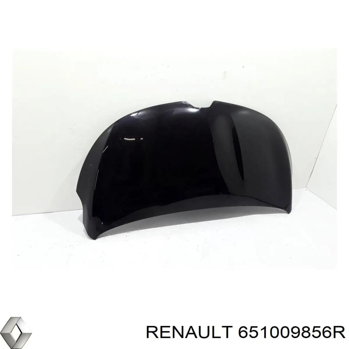 651009856R Renault (RVI)