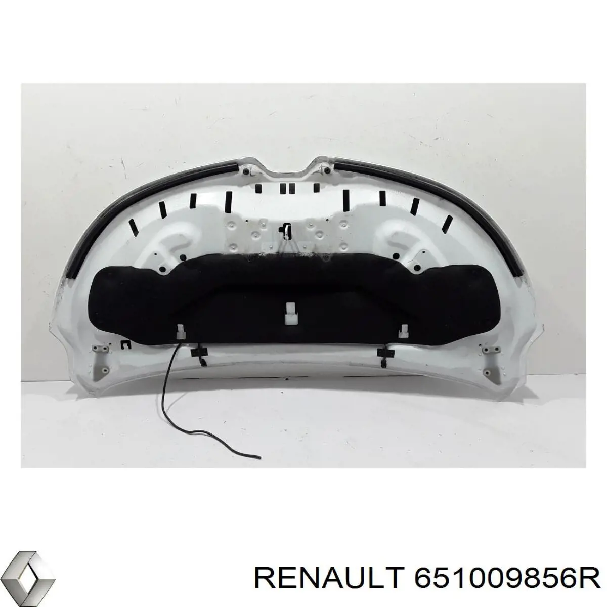 651009856R Renault (RVI) 