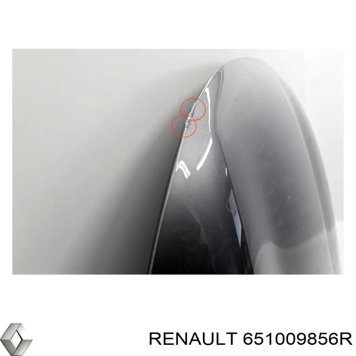  Renault (RVI) 651009856R precio, desde 624,81 EUR