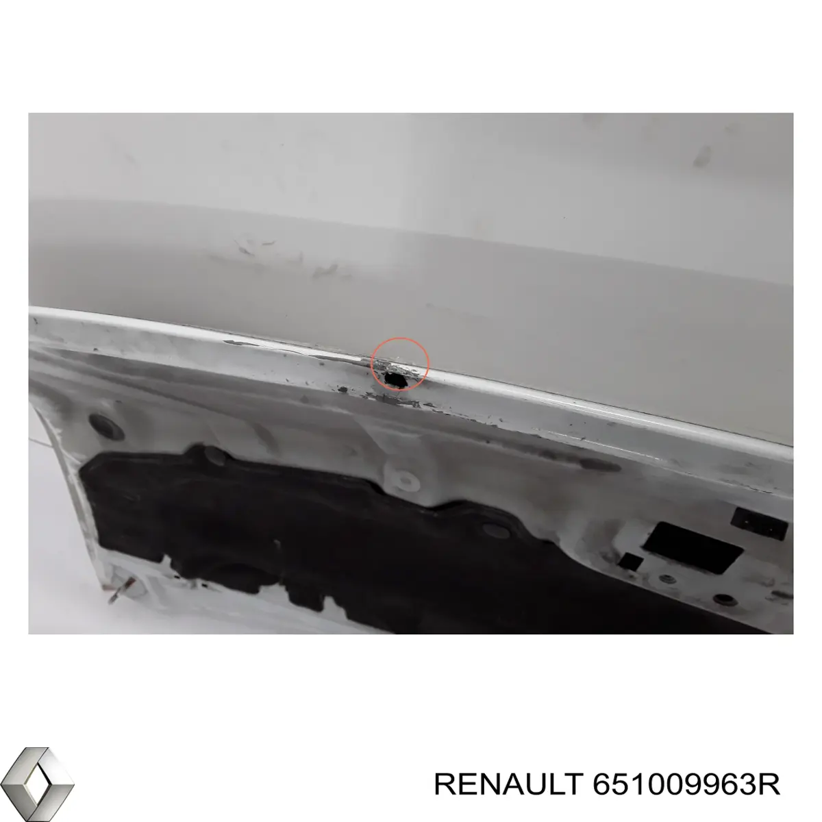 Capot Renault (RVI) 651009963R