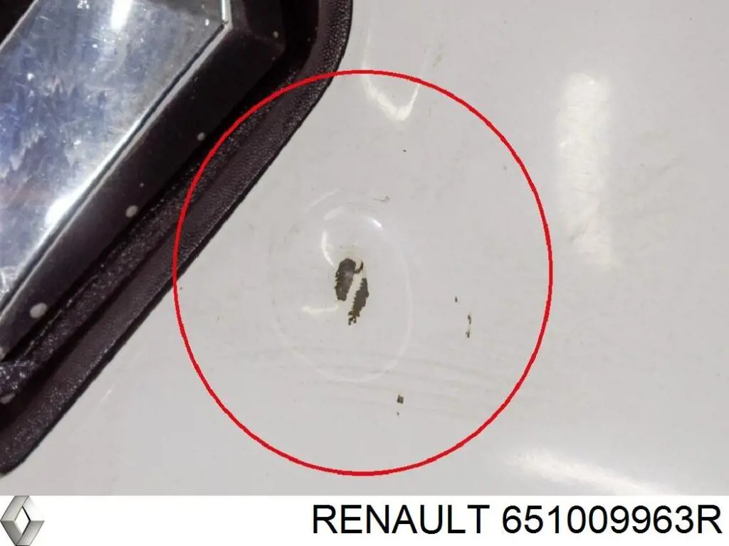 Capó del motor Renault (RVI) 651009963R precio, desde 442,63 EUR