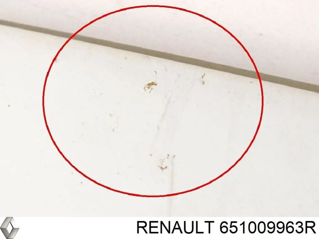Comprar 651009963R Renault (RVI) Capó