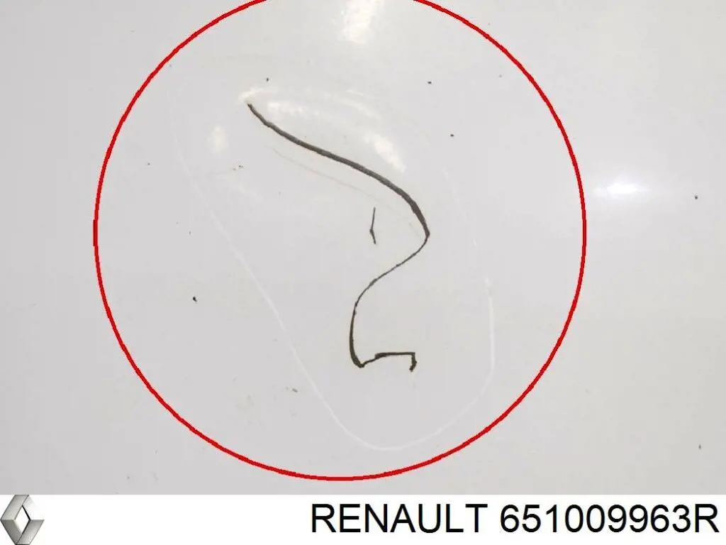 Capó 651009963R Renault (RVI)