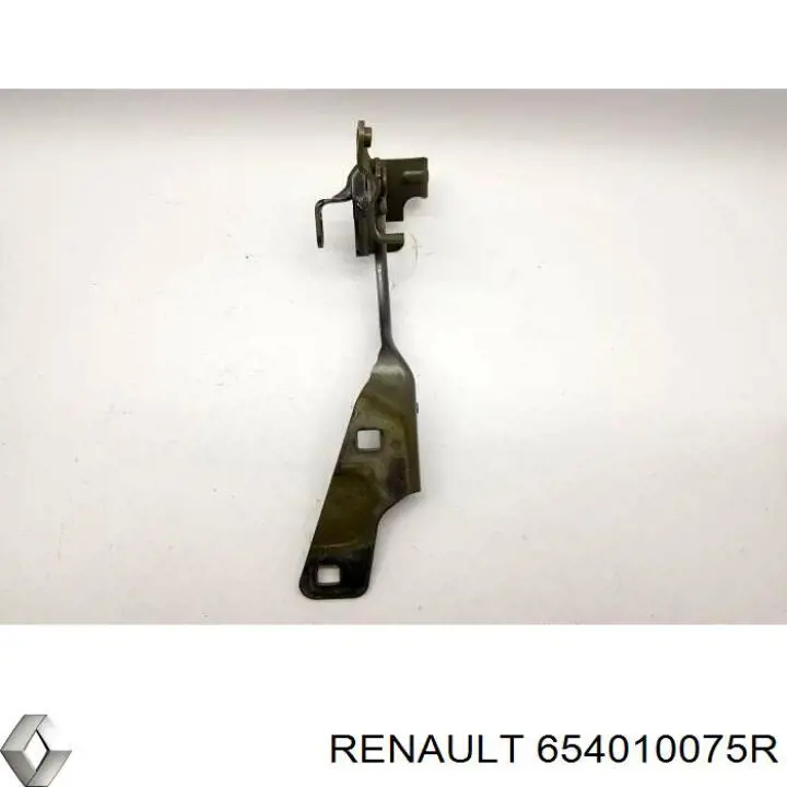 Bisagra izquierda del capó Renault (RVI) 654010075R precio, desde 50,47 EUR