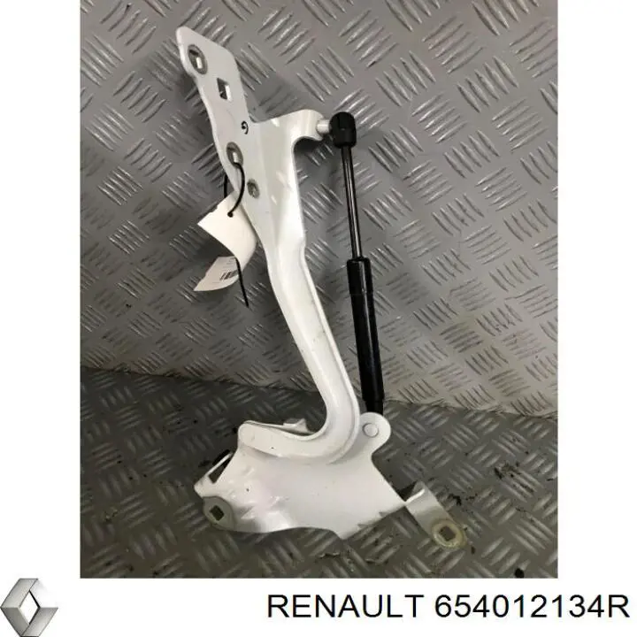 654012134R Renault (RVI)