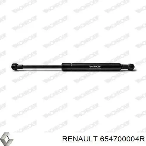 654700004R Renault (RVI)