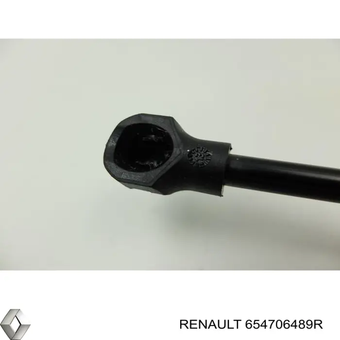 Muelle neumático, tapa delantera para Renault Kangoo (KW01)