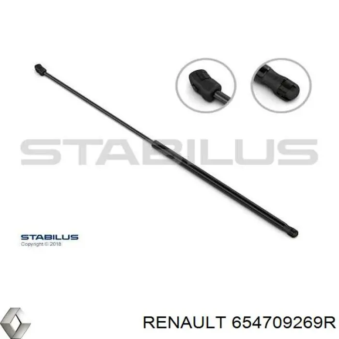 654709269R Renault (RVI) 